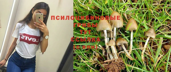 альфа пвп Корсаков