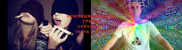 хмурый Козловка