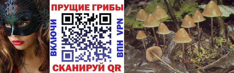 Галлюциногенные грибы MAGIC MUSHROOMS Назрань