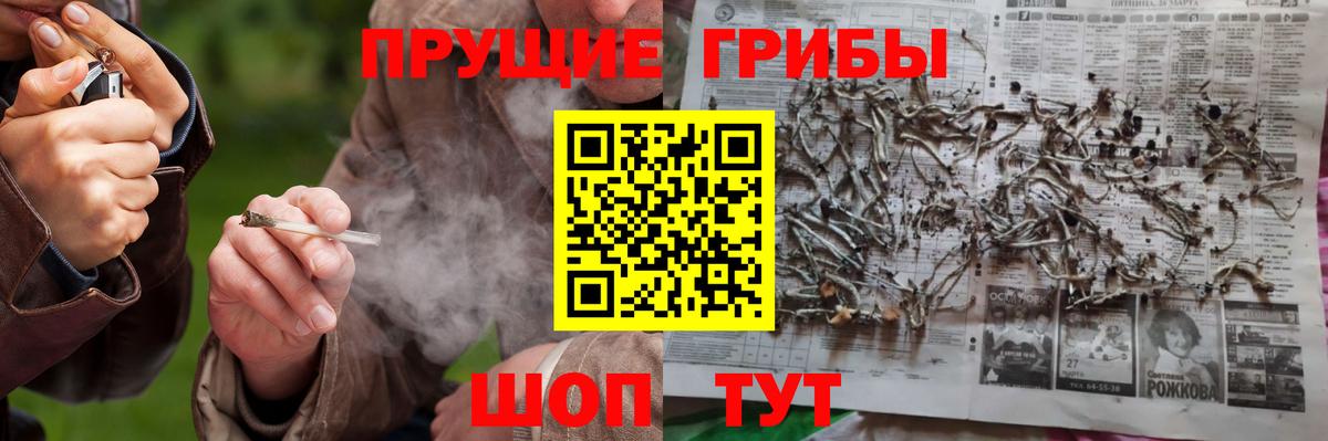 Псилоцибиновые грибы GOLDEN TEACHER  Вход с VPN  Назрань 